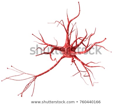 [[stock_photo]]: 3d Rendering Illustration Of Neurons