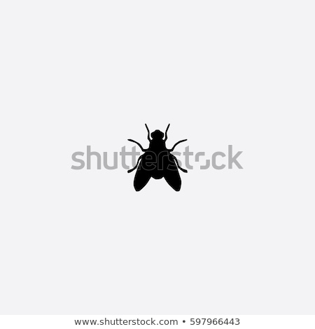 Foto stock: Fly