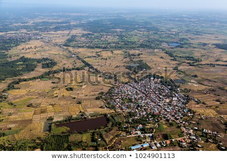 Stockfoto: A Town Surrounded By Plants