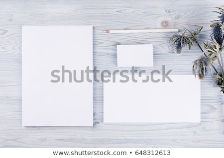 Stok fotoğraf: Corporate Identity Template Stationery With Green Foliage On Soft Light Blue Wooden Board Mock Up