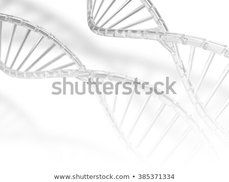 Stock photo: Clear Dna Strand