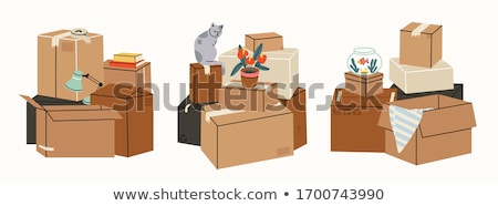 Zdjęcia stock: Package Boxes For Things Isolated Icons Set Vector