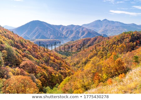 Nakatsugawa Gorge From View Point Azuma Lake Line Stok fotoğraf © vichie81