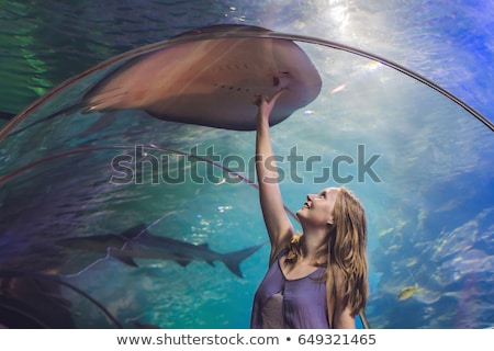 Stockfoto: Young Woman Touches A Stingray Fish In An Oceanarium Tunnel Banner Long Format