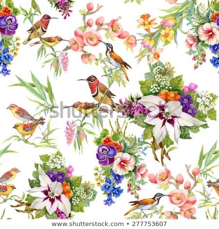 Stock fotó: Color Background With Birds And Flowers