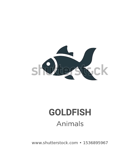 Сток-фото: Goldfish Collection