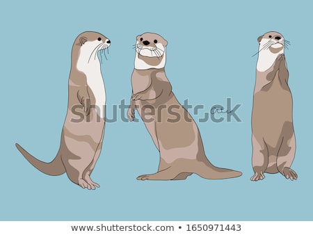 ストックフォト: Cutest Otter