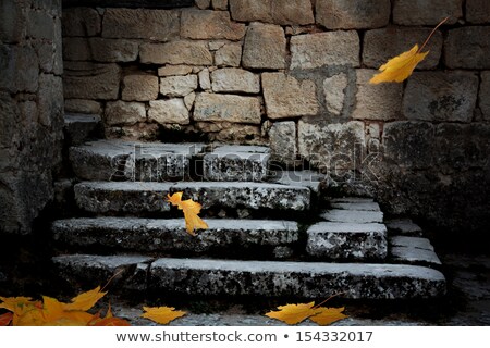 [[stock_photo]]: Old Stone Staircase With Fallen Leaves In The Ominous Moonlight