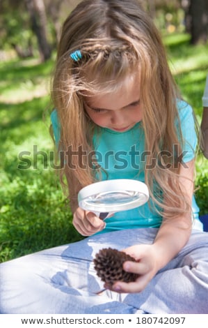 Zdjęcia stock: Little Girl Exploring The Cone Through The Magnifying Glass Outd