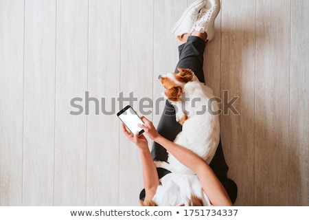 Stock fotó: Dog On The Phone
