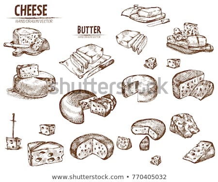 Stockfoto: Digital Vector Detailed Line Art Sliced Cheese