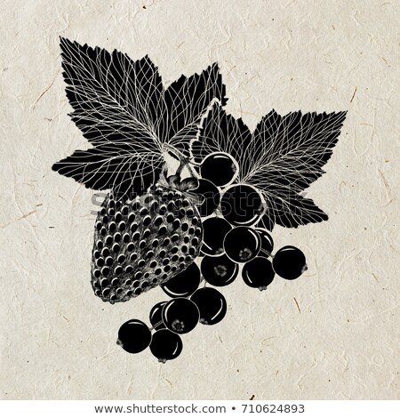 ストックフォト: Strawberry And A Branch Of Currant With Leaves On Beige Rice Paper Illustration Black And Red Colo