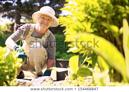 Stok fotoğraf: Senior Woman Garden Tools And Flowers At Summer