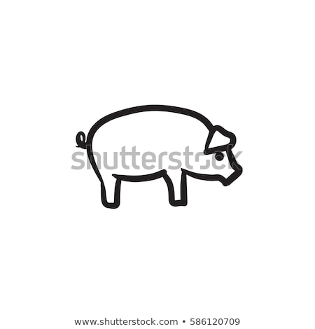 Сток-фото: Sketch Pig Icon