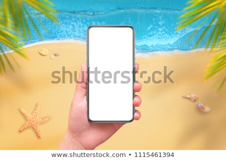 Stok fotoğraf: Summer Sale Design With Shell On Tropical Island Background Vector Special Offer Illustration With