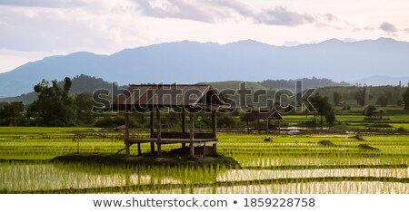 Stok fotoğraf: Afternoon Light In The Mountain Valley