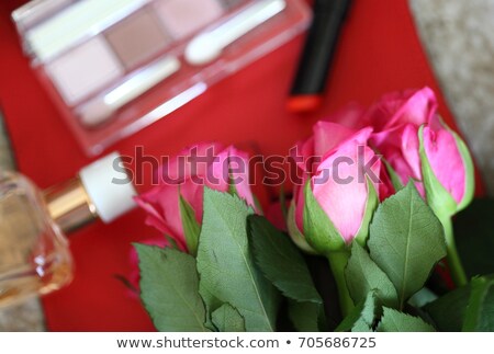 Stock photo: Eyeshadow Palette And Make Up Brush On Rose Background Eye Shad