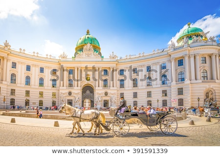 Stock photo: View On The Hofburg In Vienna