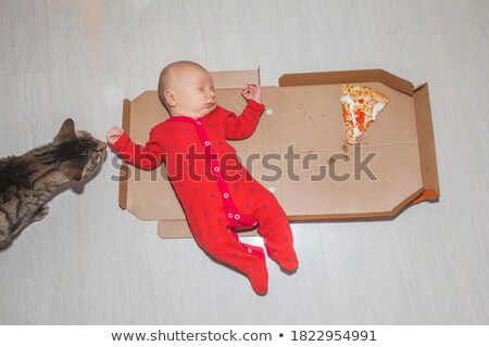 Stock photo: Little Cat Sleeping On Football