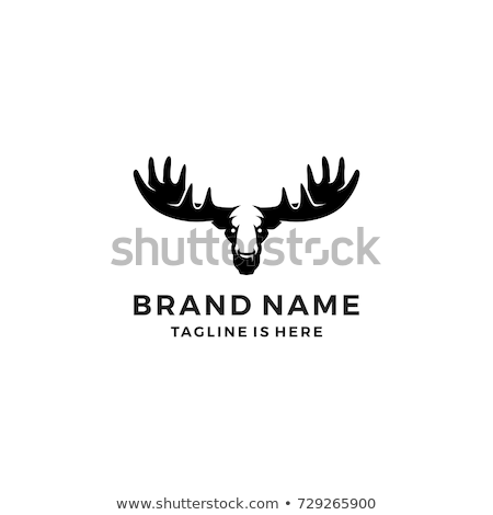 Zdjęcia stock: Head Of Moose