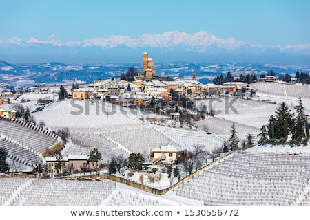 Сток-фото: Small Town With Old Castle On The Hill In Piedmont Italy