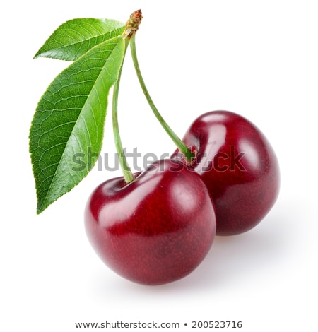 Stock fotó: Cherries On White Background