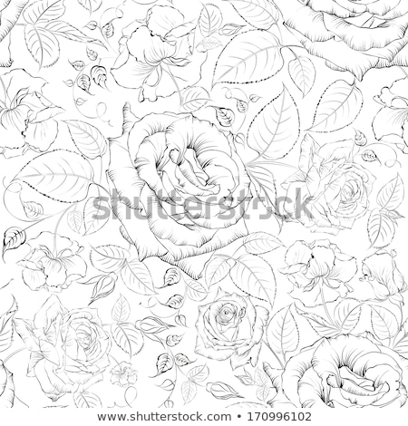 Stock fotó: Beautiful Painted Rose With Frames For Congratulations Or Invita