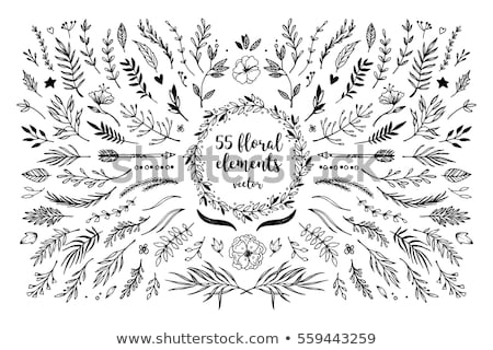 [[stock_photo]]: léments · floraux