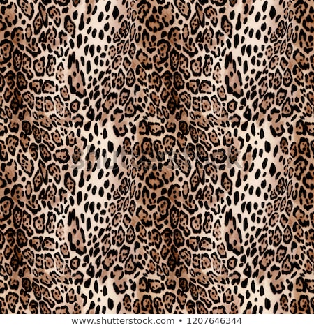 Stock photo: Abstract Texture Of Leopard Skin