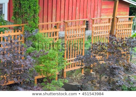 Foto stock: Wood Trellis Covering Red Barn Fencing