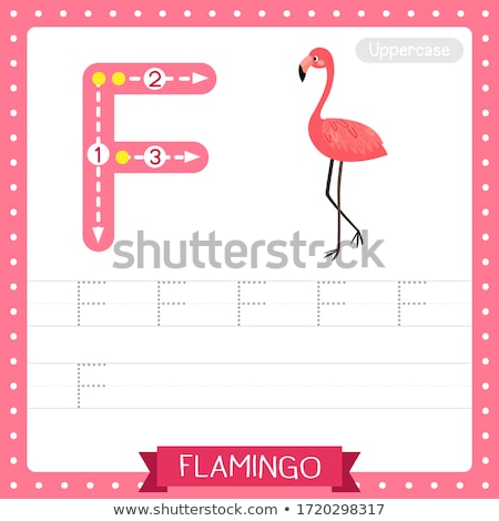 ストックフォト: Flashcard Letter F Is For Flamingo