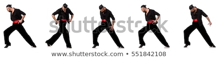 Zdjęcia stock: Man Dancer Dancing Spanish Dances Isolated On White