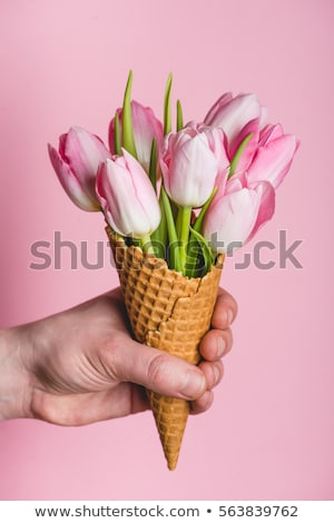 [[stock_photo]]: Tulips In Wafer Ice Cream Cone