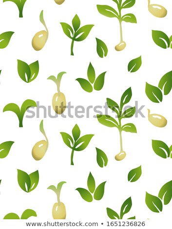 ストックフォト: Young Sapling Seamless Pattern Sprout Plant Background