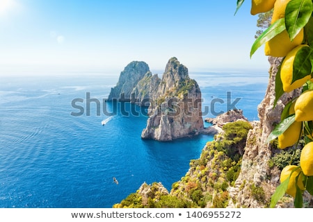 Сток-фото: Capri Island Italy