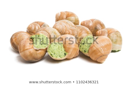 Stock photo: Helix Pomatia Also Roman Snail Burgundy Snail