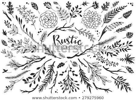 Stockfoto: Floral Frame Wreath With Stylized Leaves Rustic Style