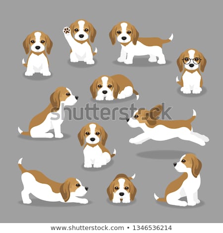 ストックフォト: Set Of Beagle Puppy