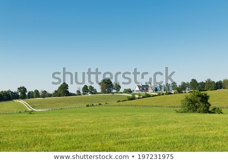 Stock foto: Distant Blue Hills In Distance