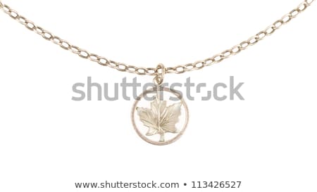 Stok fotoğraf: Old Filthy Silver Hanger On A Silver Chain Maple Leaf