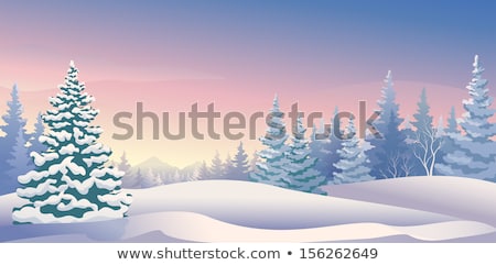 Stock fotó: Vector Coniferous Trees Covered With Snow