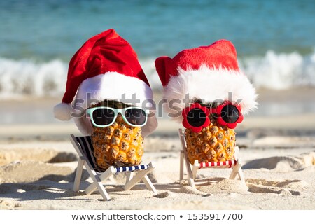 Foto stock: Two Pineapples With Santa Hats And Sunglasses