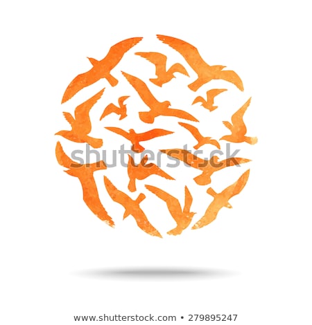 Foto stock: Group Of Wild Flying Bird Seagull Card Vector