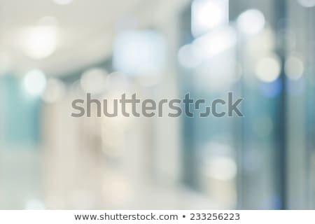 Stock foto: Abstract Business Background