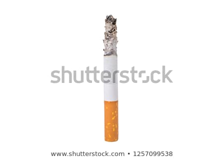 Stockfoto: Single Cigarette With Filter