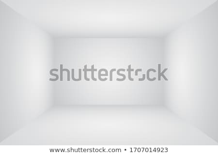 Zdjęcia stock: Blank Banner In A Old White Room