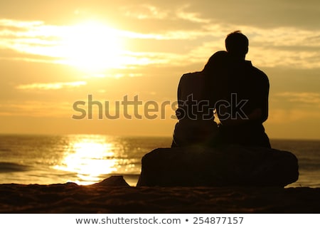 Zdjęcia stock: Back View Of Couple Sitting And Hugging On The Beach