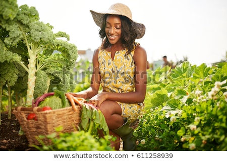 ストックフォト: Friendly African American Farmer Woman