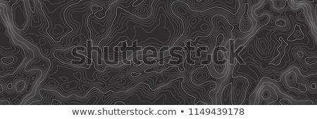 Foto stock: Topographic Map