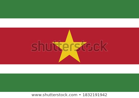 Stock fotó: Suriname Flag Vector Illustration On A White Background